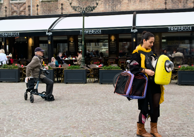 Des chats dans une nacelle sur son front à Bruges