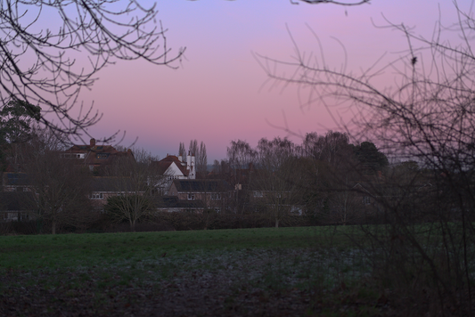 january twilight snaps