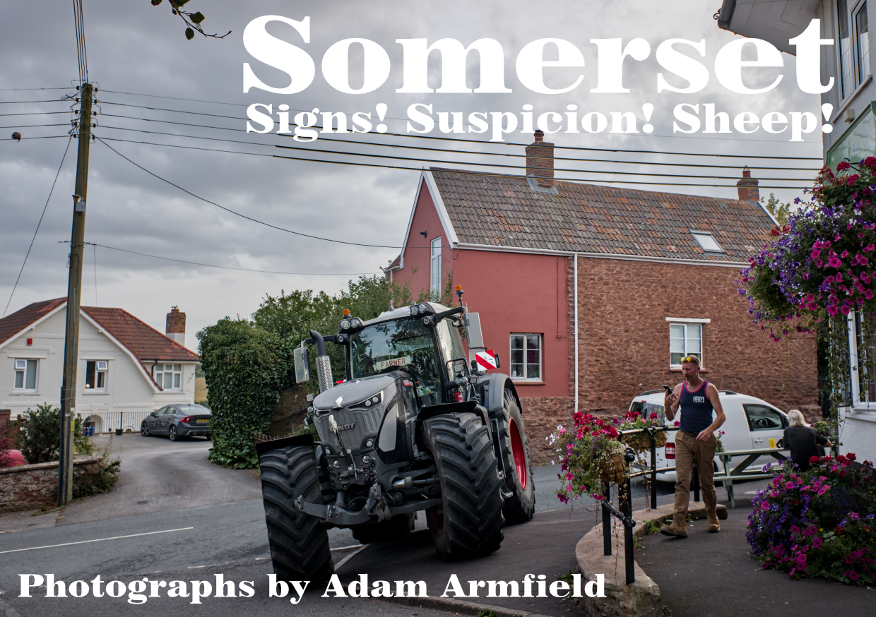 Somerset, Signs! Suspicion! Sheep!