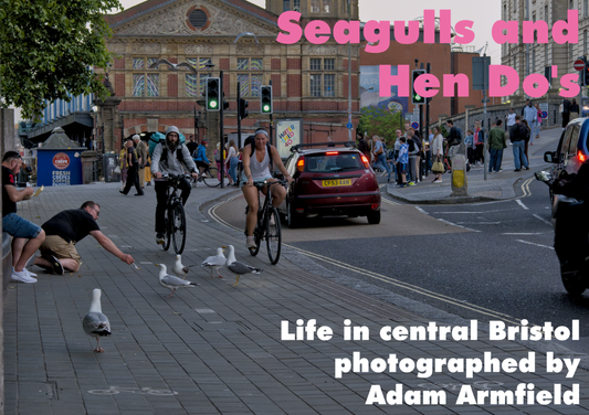 Seagulls and Hen Do's photobook