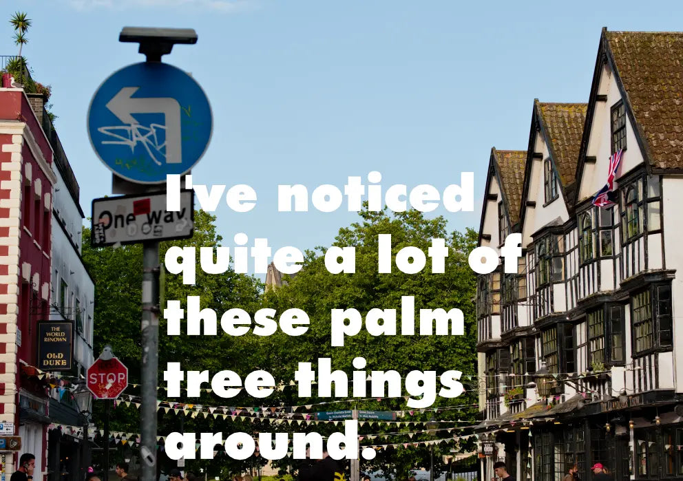 I've noticed quite a lot of these palm tree things around book.